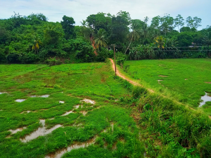 Others 4, Green View Guest, Weligama