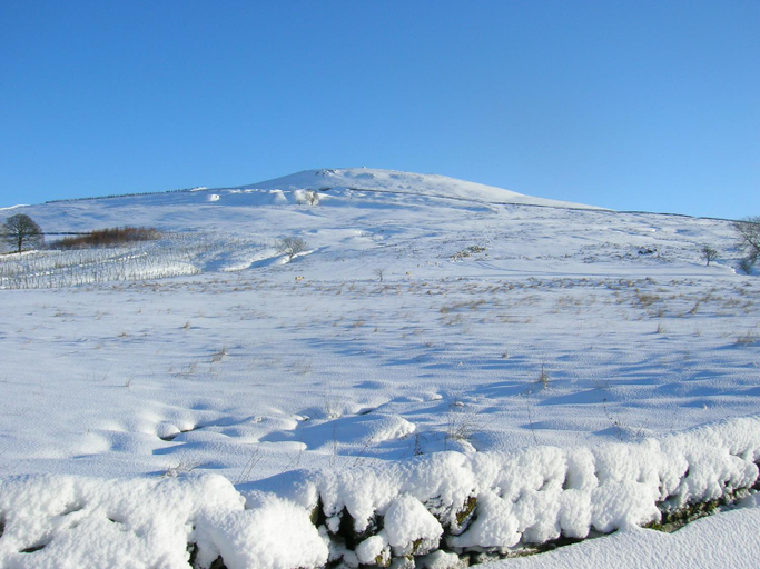 Others 5, Sorbietrees B&B, Scottish Borders