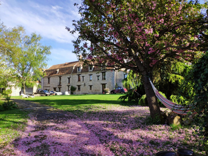 Others 4, La Fauconnerie Du Roy, Yvelines
