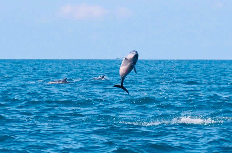 Others 5, Blue Whale Resort & Kite Surfing, Kalpitiya