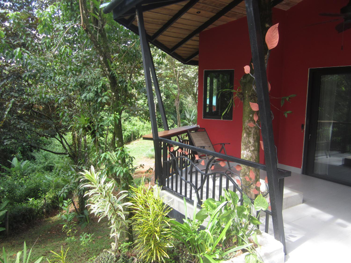 Others 4, Oasis de las Palmas, Osa