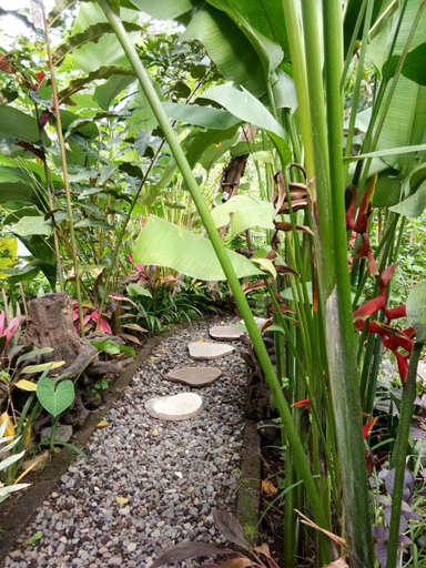 2, Les Garden villa, Buleleng