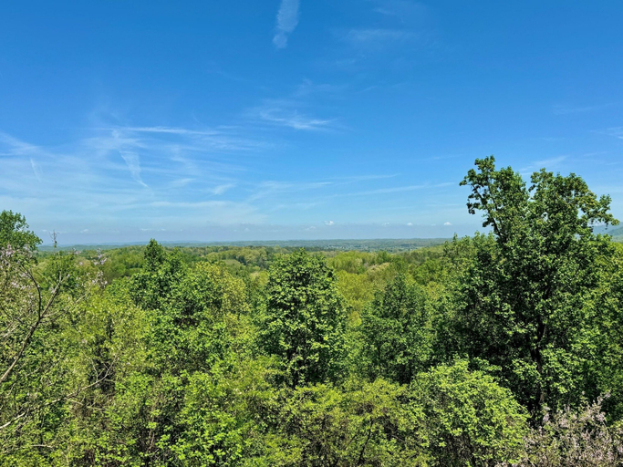 Others 4, Panoramic View 6 Bedroom Cabin by RedAwning, Sevier
