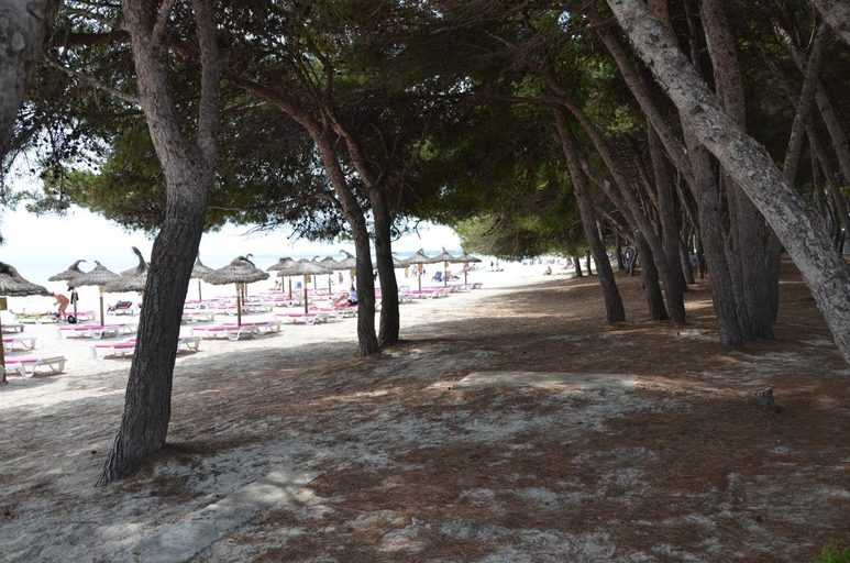 Others 5, Carrasqueta, Baleares