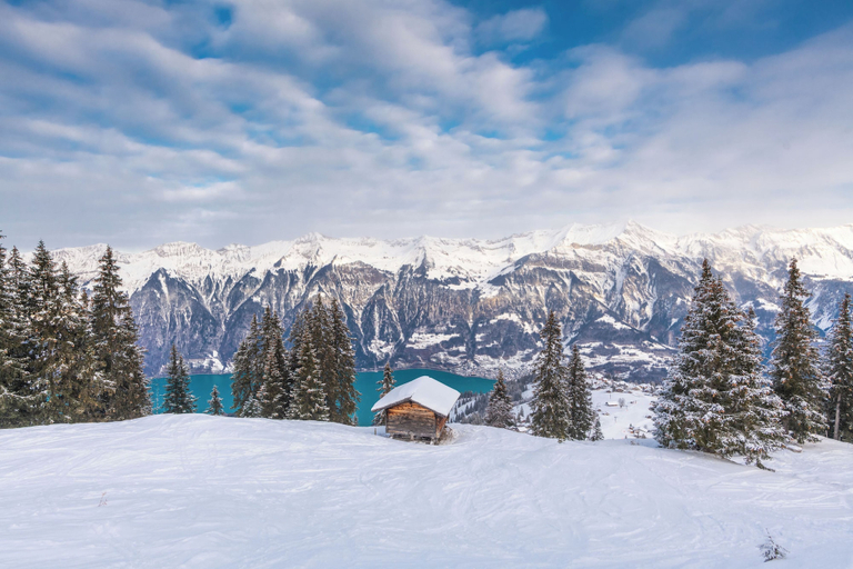 Others 5, Hotel Brienz, Interlaken