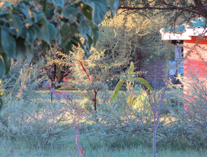 Others 3, BELA Vic, Waterberg