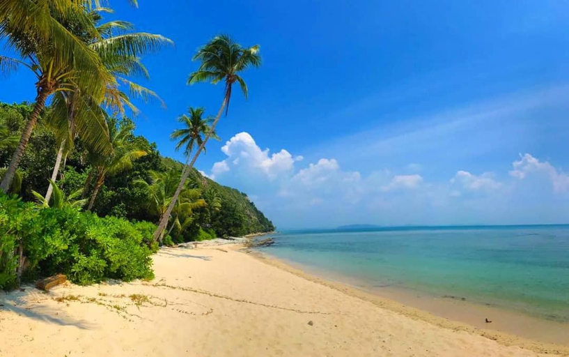 Others 5, Rimba Resort - Dive Centre & Spa, Mersing