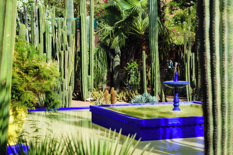 Sport & Beauty 2, Riad Livia Marrakech - Adults Only, Marrakech