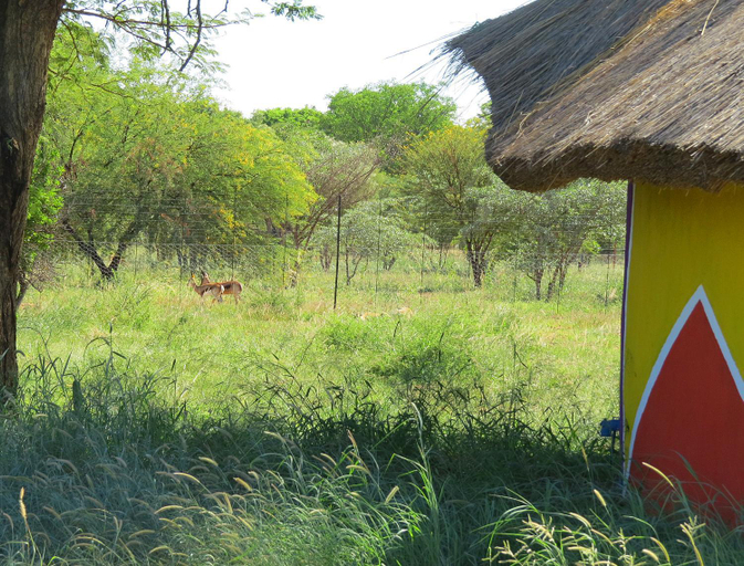 Others 4, BELA Vic, Waterberg