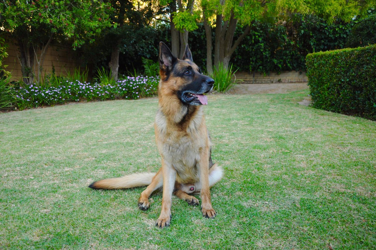 Others 5, Edelweiss Bed & Breakfast, Cape Winelands