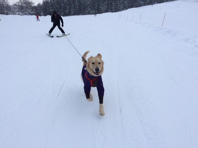 Others 5, Piremon, Hakuba