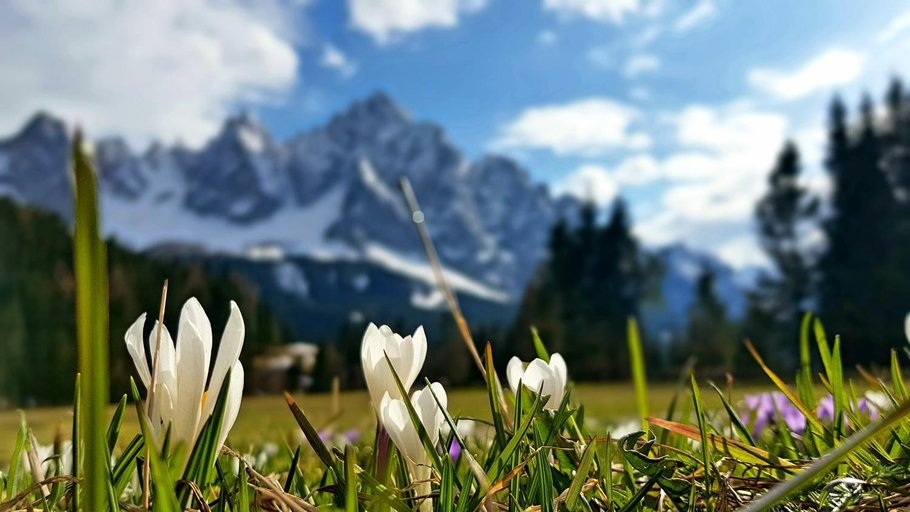 Others 5, Hotel Siera Hof, Belluno
