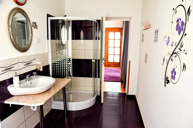 Bathroom 2, Pensiunea Vila Silva I, Hateg
