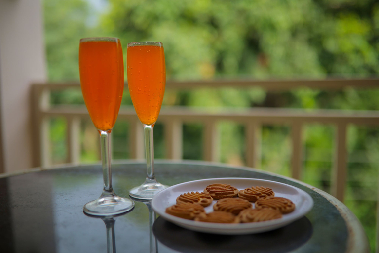 Food & Drinks 4, Kumbhal Palace Kumbhalgarh, Rajsamand