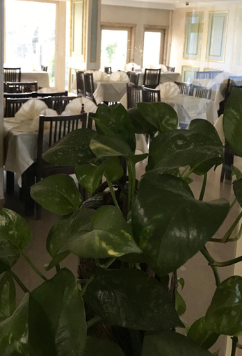 Food & Drinks 5, Hotel Royal Marshal, Heliopolis