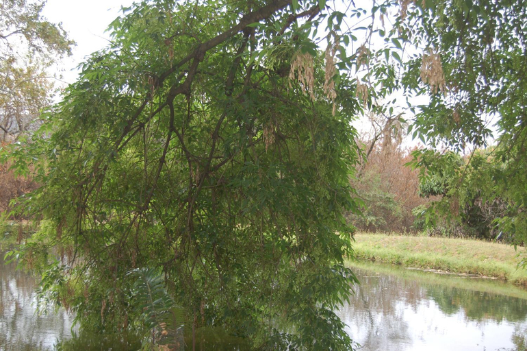 Others 4, Nita's Air Bed & Breakfast & self catering, Ehlanzeni