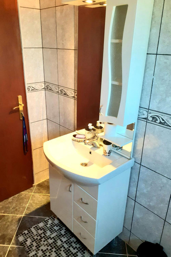 Bathroom 2, Domacinstvo Sinđelic, Lučani