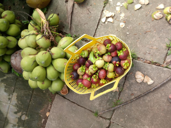Food & Drinks 5, Coco Happy Farm , Giồng Trôm