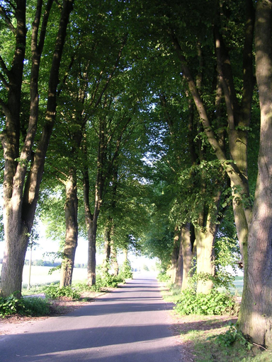 Others 5, Landgasthaus Zum Naturschutzpark, Heidekreis