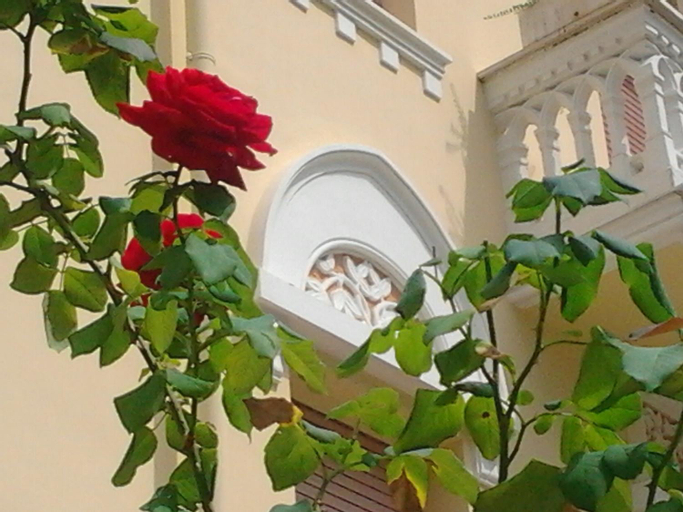 Relais Le Felci, Frosinone
