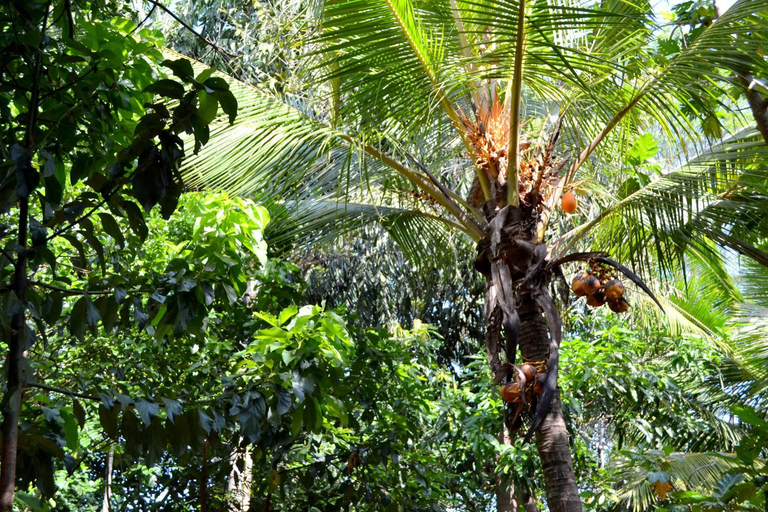 Others 3, Sigiriya Freedom Lodge, Dambulla