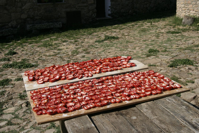 Food & Drinks 4, Agriturismo Il Muto di Gallura, Olbia-Tempio