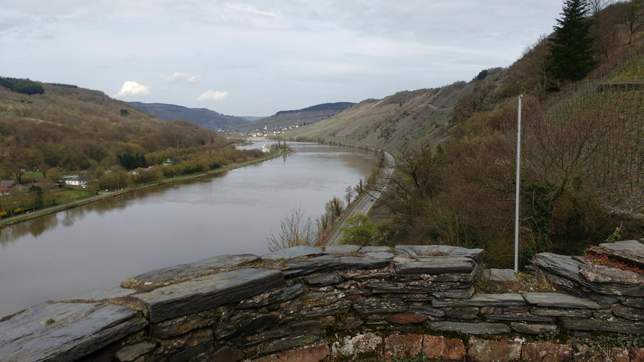 Others 5, Weingut Stiftshof, Bernkastel-Wittlich