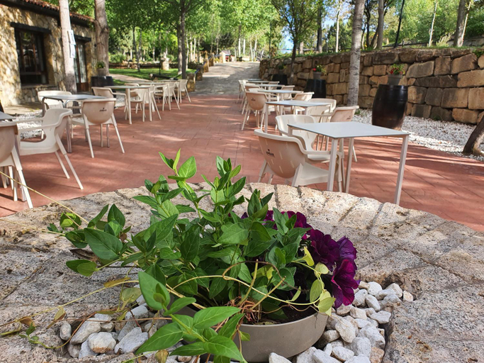 Food & Drinks 4, HOTEL MASIA EL MOLINETE, Teruel