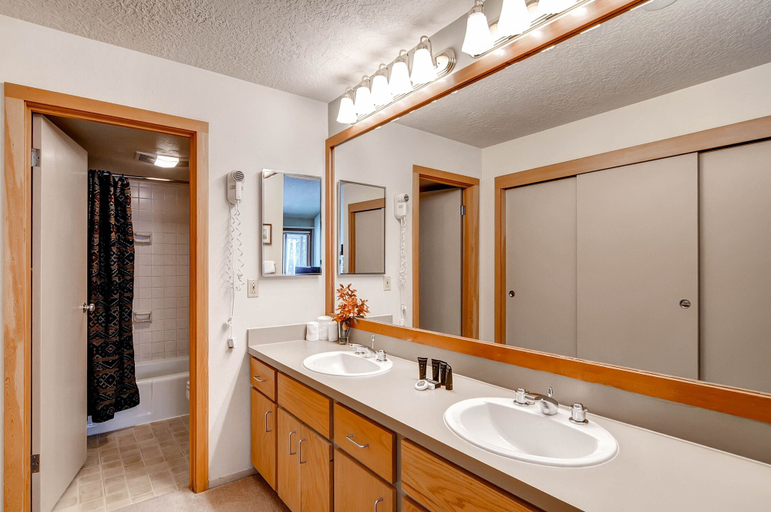 Bathroom, Lenawee 1735, Summit