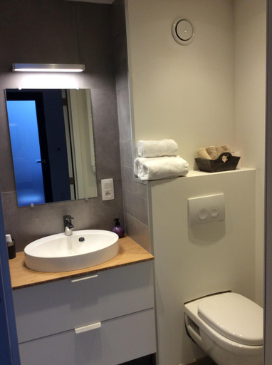 Bathroom 3, Studio cosy et climatise, Liège