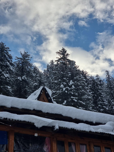 Exterior & Views 1, Old Brahma Homestay, Kullu