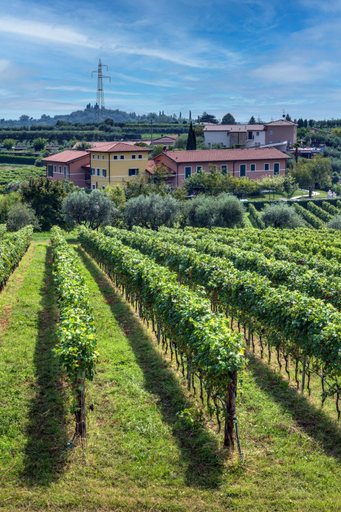 Others 5, Tenuta di Palu, Verona