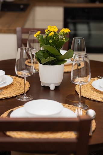 Food & Drinks, Lux Apartment Manufaktura by Renters, Łódź