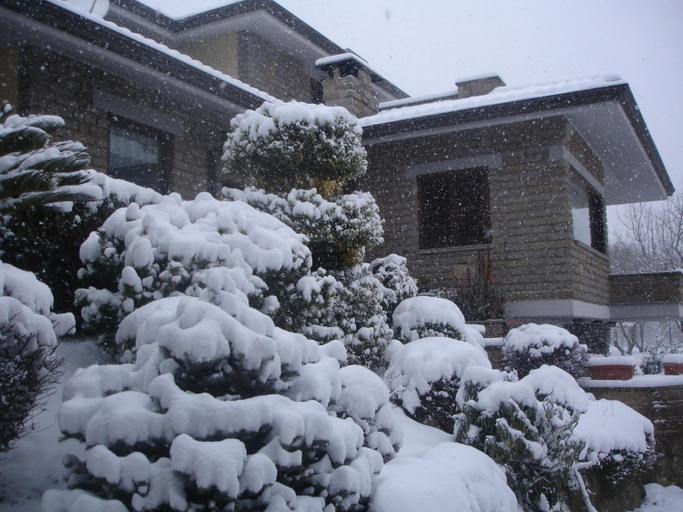 Others 4, B&B Le Palme, Viterbo