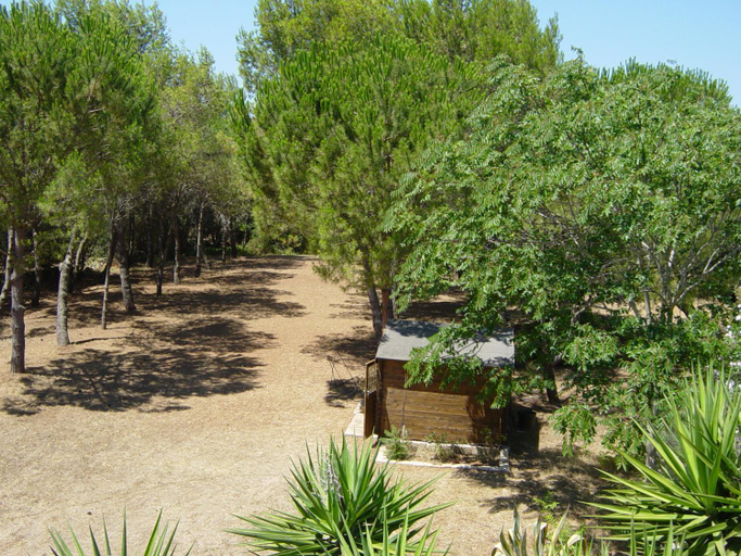 Others 4, Tenuta Argiano, Brindisi