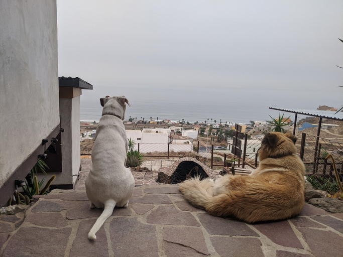 Others 4, Native Residence, Tijuana
