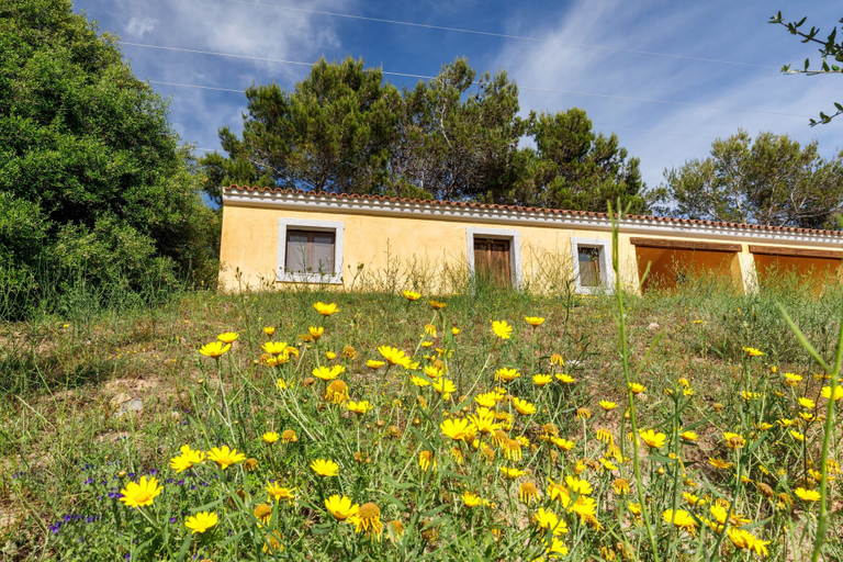 Exterior 5, Li Scalitti Residence with swimming-pool, Olbia-Tempio