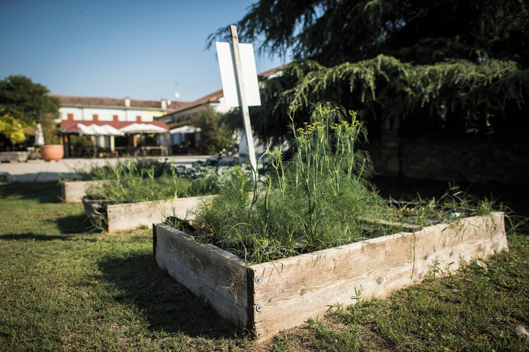 Others 5, Agriturismo Beatilla, Mantua