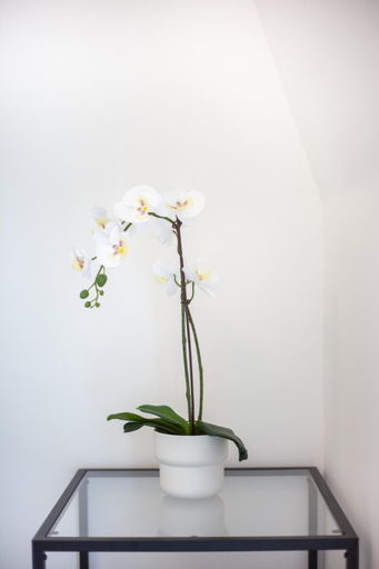 Others 2, Luxe Studio Near Discovery Gardens Metro Station, Dubai