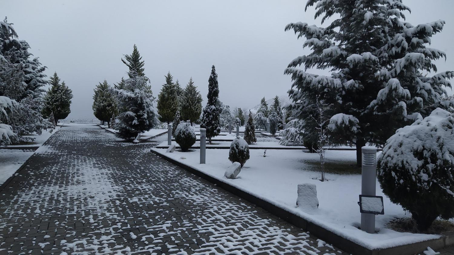 Others 3, Arena Hotel Goygol, Xanlar