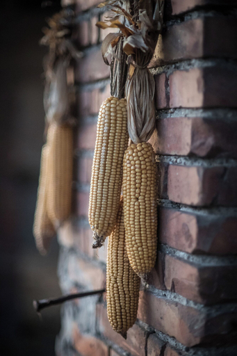Food & Drinks, Agriturismo Beatilla, Mantua