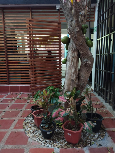 Others 4, taganga macabi hostel, Santa Marta (Dist. Esp.)