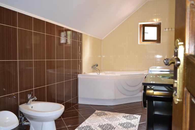 Bathroom 2, Pensiunea Malinul, Barsana