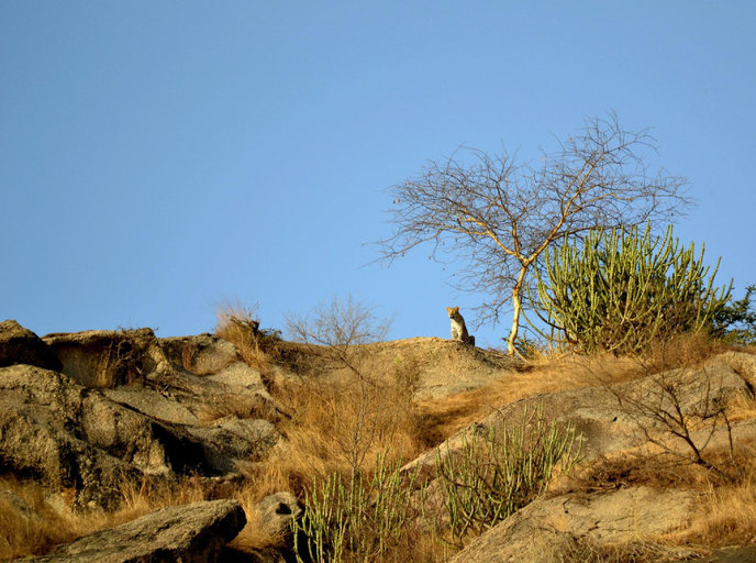 Others 4, Beragarh Heritage Hotel, Pali