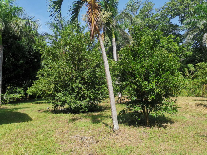 Others 3, Rusteak Living Retreat in natural and peaceful setting in Canafistula, Santa Cruz