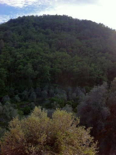 Exterior & Views 3, Appartamento Ferla La Taggiasca, Savona