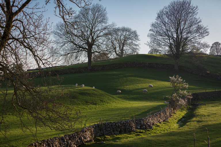 Surrounding environment 5, Aysgarth Falls Hotel & Restaurant, North Yorkshire