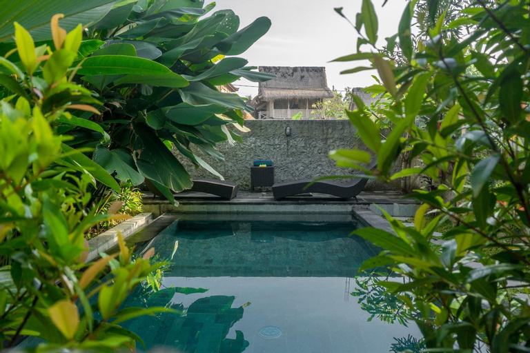 Swimming Pool 13