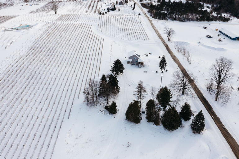 Others 3, Yuba Vineyards, Grand Traverse