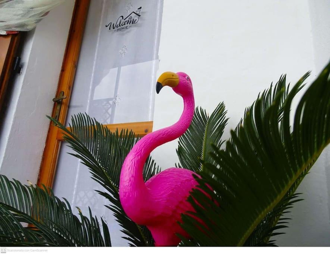 5, Casa Flamingo House, Nuoro